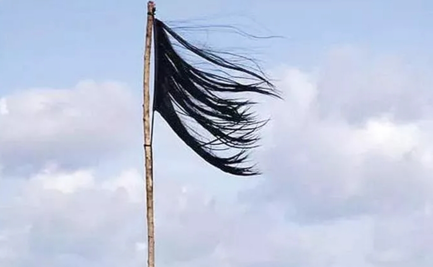 Kadın derneğinin erkek başkanı ve Osmanlı Kadın Hareketi